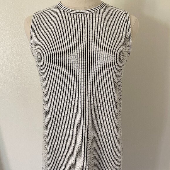 Club Monaco Sleeveless Textured Stripe Dress - S - Picture 1 of 9